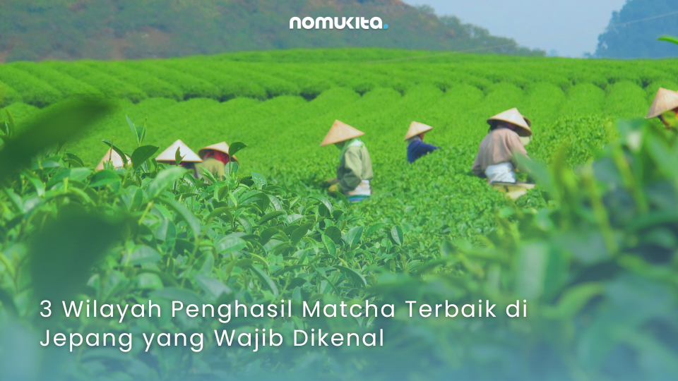 nomukita-NomuKita-coklat premium-exclusive series-matcha series-3 Wilayah Penghasil Matcha Terbaik di Jepang yang Wajib Dikenal nomukita-NomuKita-coklat premium-exclusive series-matcha series-3 Wilayah Penghasil Matcha Terbaik di Jepang yang Wajib Dikenal