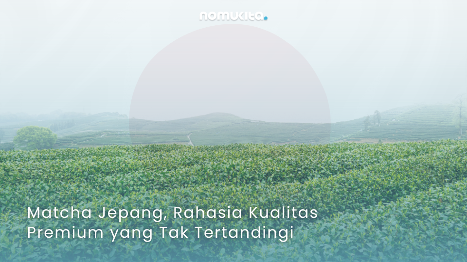nomukita-NomuKita-coklat premium-exclusive series-matcha series-Matcha Jepang, Rahasia Kualitas Premium yang Tak Tertandingi